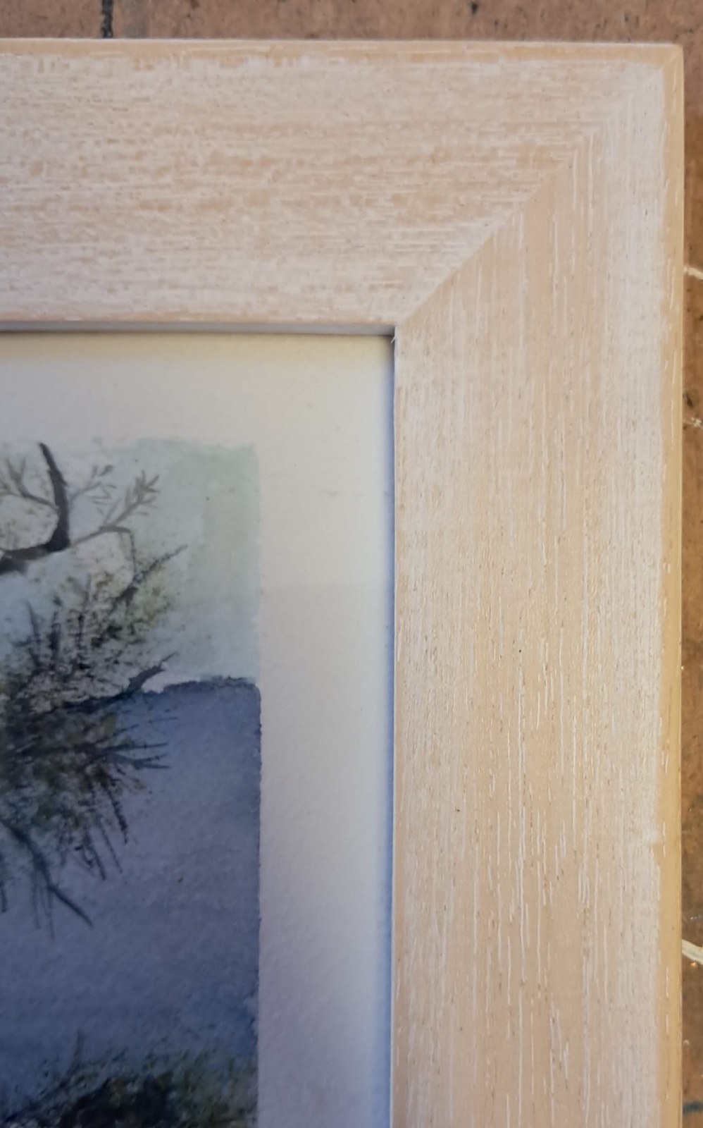 Cornice legno sbiancato — acquerello